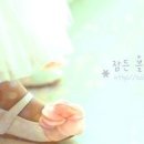 노블캣 이미지