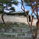 역사 (歷史),고궁 (古宮) 박물관 (博物館)