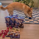 (주)그린아쿠아펫 | 마이펫페어 2026 일산 킨텍스 다녀온 후기 (2026년 1월 17일)