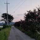 오동세월교 이미지