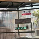 금사중학교 | 부산 용한 신점 용신보살 신점 후기｜신년운세, 연애운, 직업운 내돈내산 첫 신점