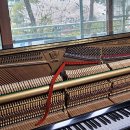 한솔솔파크 이미지