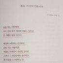 비앤피컬쳐 이미지