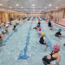 문키즈스윔스쿨 | 문키즈스윔스쿨 어린이생존수영 25년 성료