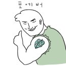 비비드코알라 이미지