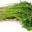 나경이네 이미지