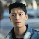 비컷 이미지