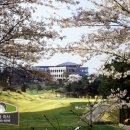 신안골프 이미지