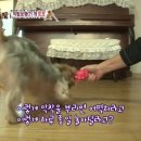 또또농장 이미지