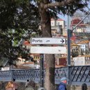 귤사랑쉼팡민박 | [포르투갈/포르투] 2026.03.03. 화.-2026.03.06. 금. 갈매기가 의젓하고 고양이가 빨래도 지킬 줄 앎