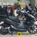 멀티게러지