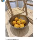 J1(Just One) FIT | 호주워홀_브리즈번Day(33~37)_공장 구하는 법/south bank cineplex/Turosi 공장 사이트 투어 후기 ✨