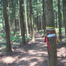 치유, 명상의 숲 이미지