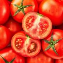 토마토 - 17404 | 토마토