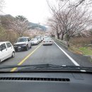 섬진강(부산) 이미지