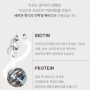 쉐이크프로