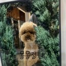 몽몽정원 이미지