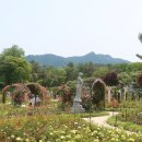 장미원 이미지