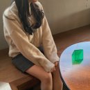 페트리코 이미지