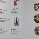 안아픈침한의원 네이버블로그