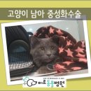 남창미르동물병원 이미지