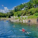 청정오리떼 | 제주도 강정천 계곡 스노쿨링 후기