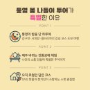 사계절투어 이미지