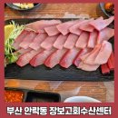 장보고회수산센타 화명점 | 부산 동래구 안락동 장보고회수산센터 방문 후기 (겨울 제철 대방어 먹고 온 솔직 후기)