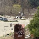 F3 | [양평 캠핑장 후기] 집밖으로캠핑장 F3 사이트 리얼후기｜벚꽃캠핑 명당, 예약팁까지!