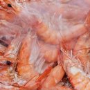 꿈꾸는 펜션 이미지