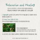 이뉴 이미지