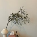 풍경펜션 A동 이미지