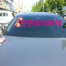 고산자동차유리 이미지