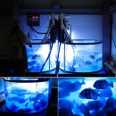 용인실내바다낚시터 | 겨울에도 즐기는 낚시 용인실내바다낚시터 부부 평일 데이트