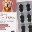 프롬퍼피 이미지