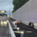 상식농장 이미지