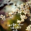 매일선물