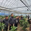 경제농장 이미지