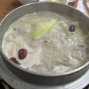 본가오리 이미지