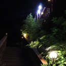 숲속 하얀 뜰 이미지