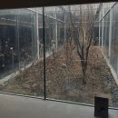 한식디저트 만들기(보호자+아동) A반 | 220301-220309 흑백영화