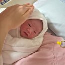 출산 후 쓰는 산부인과 추천 후기! 송파고은빛 산부인과 정다와 선생님