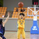 선일초교 이미지