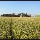 공음농장 이미지