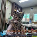 성북동-867 이미지