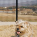 세교와르 이미지