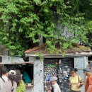 카페바트 | 치앙마이 올드타운 카페 추천 더티커피 맛있었던 바트커피 후기