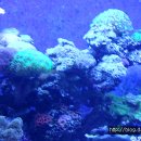 보물바다 이미지