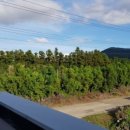 동이네민박 이미지