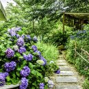 앵지밭골 이미지